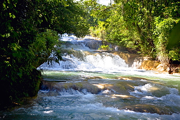 Waterfall in a forest, Agua Azul Waterfalls, Chiapas, Mexico