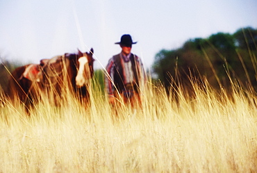 Cowboy standing with a horse, Texas, USA