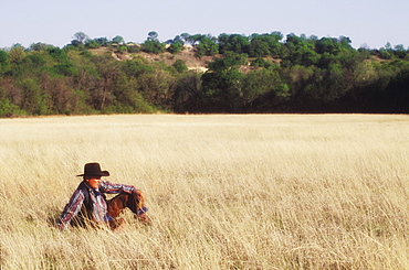 Cowboy sitting on a field, Texas, USA