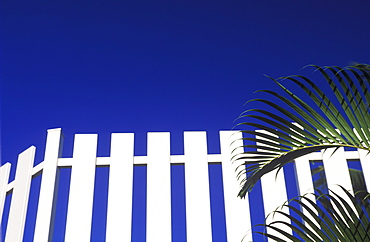 Low angle view of a wooden fence