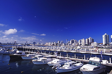 High angle view of yachts anchored at a harbor