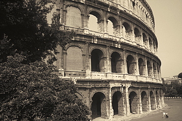 Low angle view of an amphitheater, Rome, Italy