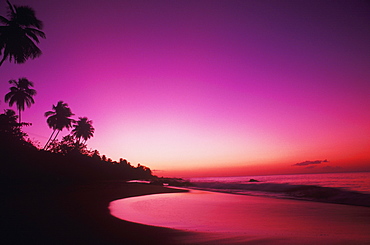 Silhouette of palm trees on the beach, Caribbean