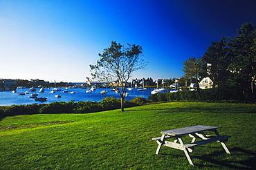 Picnic table on a lawn