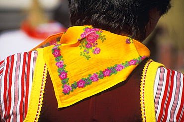 Rear view of a person in traditional clothing