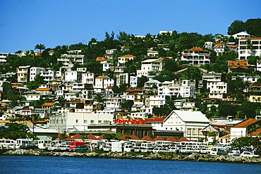 View of a city with a cluster of houses