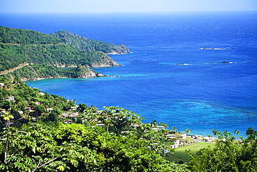 Scenic view of the island of Tobago on a sunny day, Caribbean