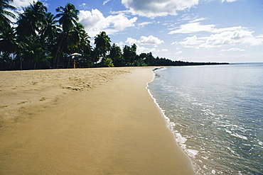 Coastline of a sea adorned with greenery, Mayaguez beach, Puerto Rico