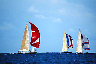 Sailboats participate in the Heiniken Regatta on the Dutch side of the island of St. Maarten in the Caribbean