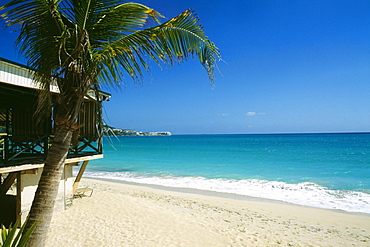 Side view of a vast and calm beach , St. Maarten, Caribbean