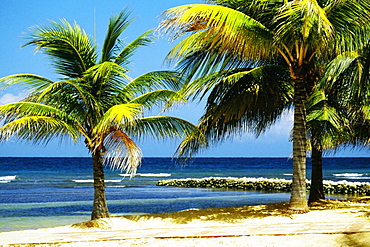 View of a man relaxing on a beach at Half Moon Bay Resort, Jamaica