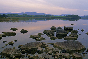 Rocks in a lake, Ross Lake, County Galway, Republic of Ireland