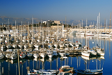 Large group of sailboats docked at Antibes/Cote D'Azur, France