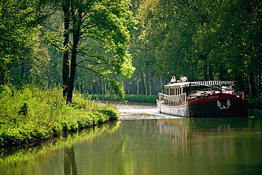 Hotel barge passing through a river with trees on either side, Burgundy River, France