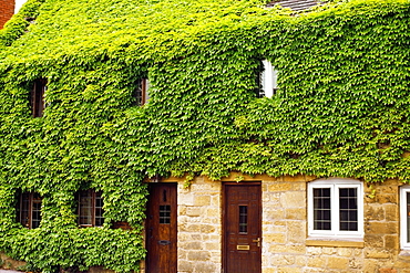 Side view of a house covered in green foliage, Broadway, England