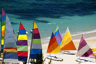 A cluster of colored sails stationed on a seashore, Nassau, Bahamas