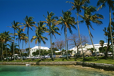 Cars parked near the palm trees at a beach, Bermuda