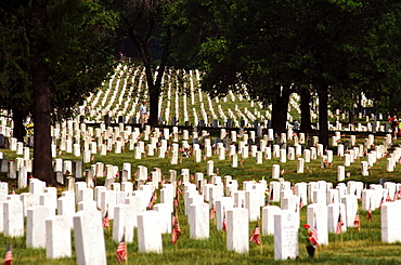 Tombstones in a cemetery, Arlington National Cemetery, Arlington, Virginia, USA