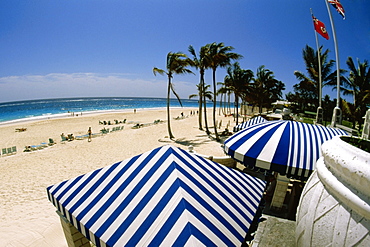 High angle view of striped canopies on Elbow beach, Bermuda