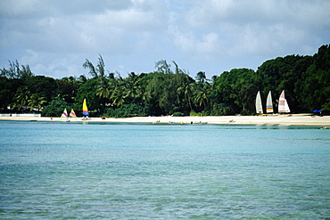 Colorful sailboats parked on a seashore with a dense vegetation and shacks, Sandy Lane Hotel, Barbados