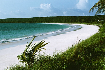 Scenic view of a beach at Cotton Bay Resort, Eleuthera, Bahamas