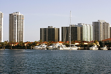 Yachts moored at a dock, Miami, Florida, USA