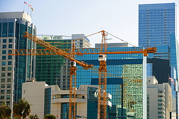 Crane in front of buildings, Miami, Florida, USA