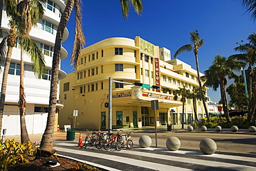 Palm trees in front of a building, Miami, Florida, USA