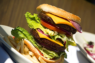 Close-up of a hamburger and French fries