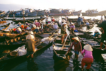 Fish market, Danang, Vietnam