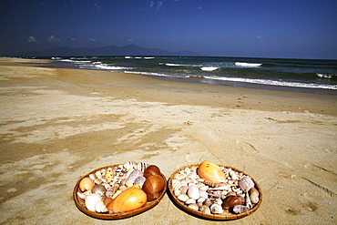 Sea shells on China Beach, Danang, Vietnam