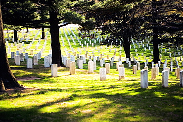 Gravestones in a graveyard, Arlington National Cemetery, Arlington, Virginia, USA