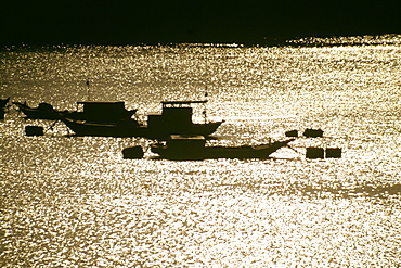 Saigon River Delta, Vietnam