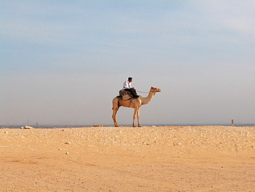 Side profile of a man riding a camel