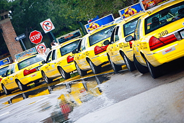 Taxi cabs waiting in a row, Savannah, Georgia, USA