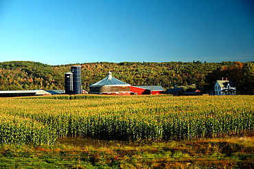 Round barn with clear blue sky in the background near Wells River, Vermont