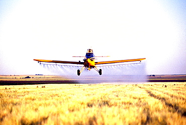 Plane spraying pesticide barley field in Colorado