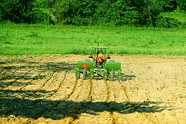 Planting corn in Virginia