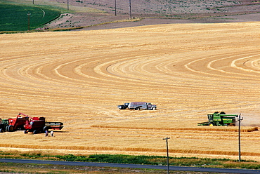 Custom harvest crew with combines in wheat field, Cheyenne, WY