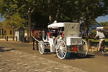 Rear view of a carriage on the street