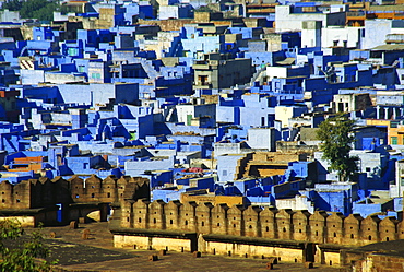 High angle view of a cityscape, Jodhpur, Rajasthan, India