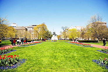 Low angle view of Andrew Jackson Statue, Lafayette Park, Washington DC, USA