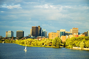 Sailboat on a river, Charles River, Esplanade, Boston, Massachusetts, USA