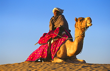 Low angle view of a mid adult man riding a camel in a desert, Rajasthan, India