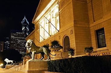 Statue of lions in front of a building, Art Institute of Chicago, Chicago, Illinois, USA