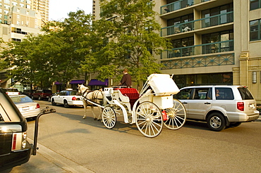 Horse cart in front of building, Chicago, Illinois, USA