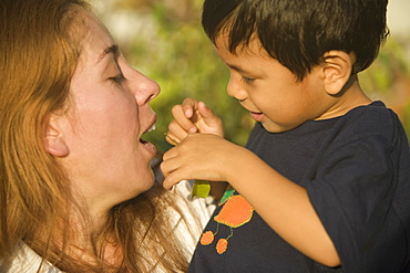 Side profile of a boy and his mother playing