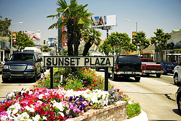 Sunset Plaza Sign erected in a flower bed, Los Angeles, California, USA