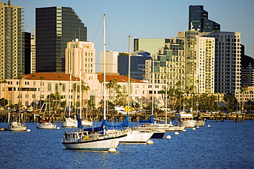 Side profile of yacht's docked at a harbor, San Diego Bay, California, USA