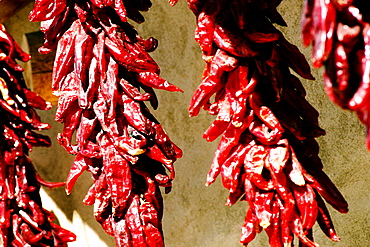 Close-up of red chili peppers